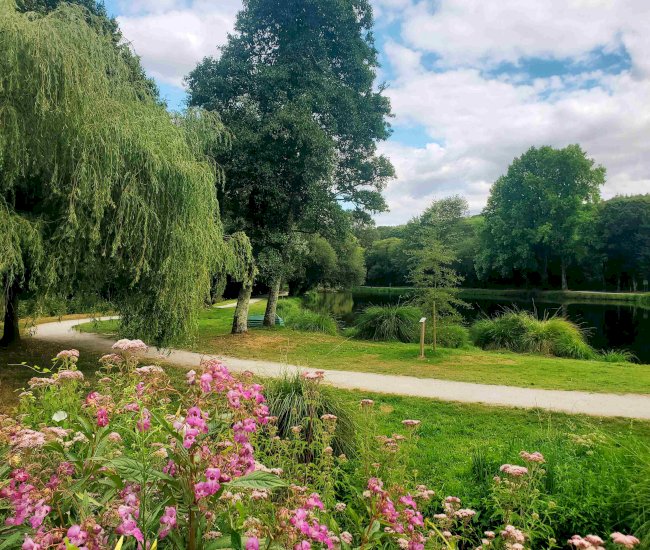 20220726_155227 r-compressed