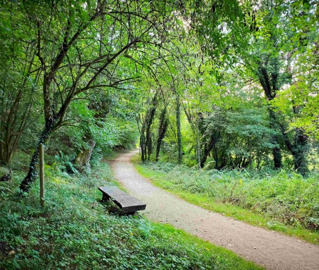 20220824_173223 r-compressed