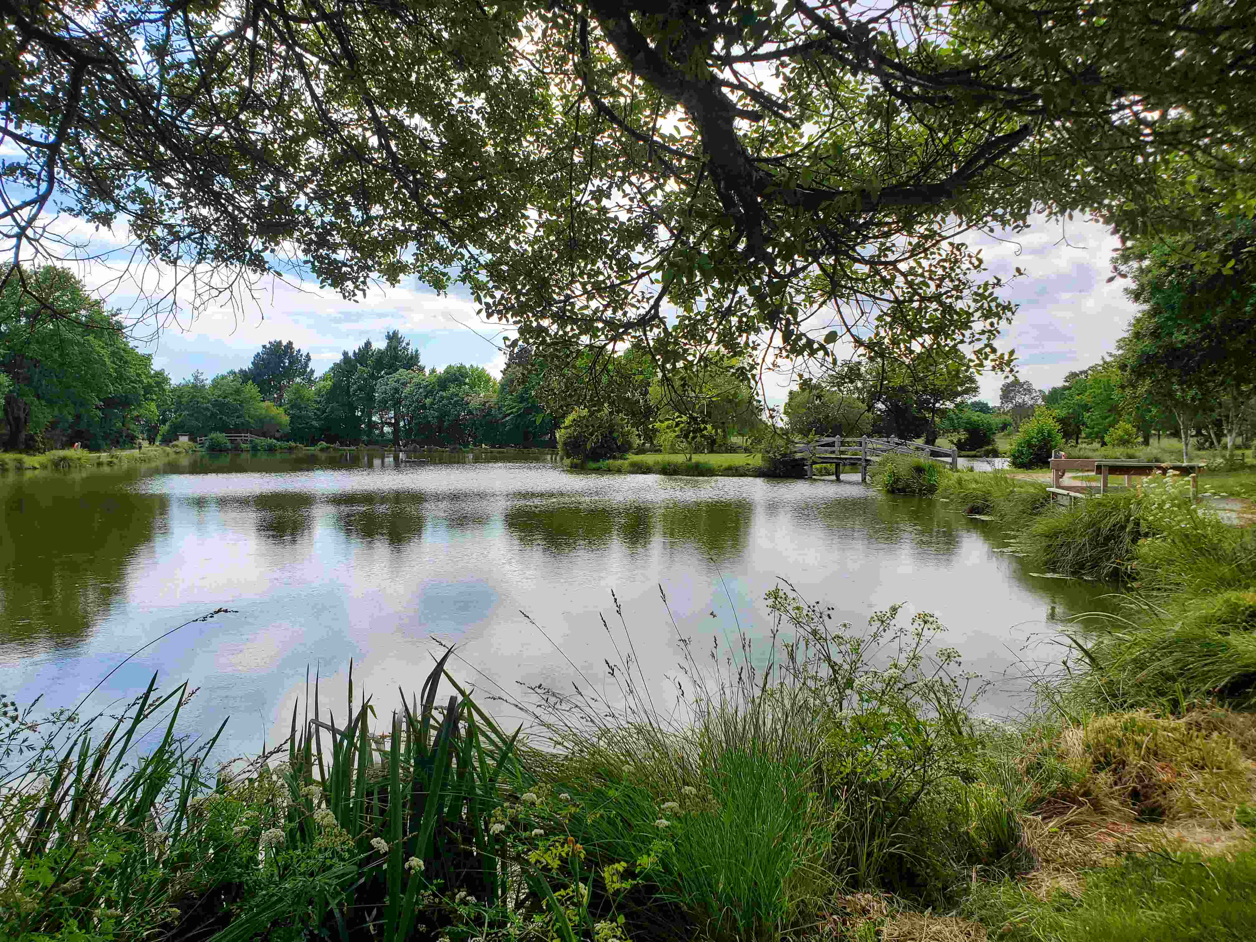 20220602_164217-compressed