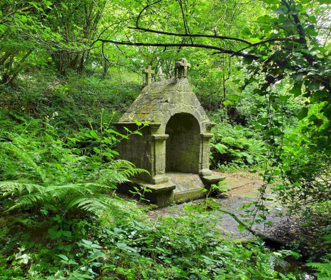 20220602_171227-compressed