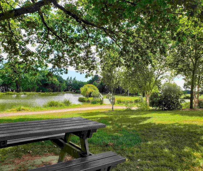 20220602_165713-compressed