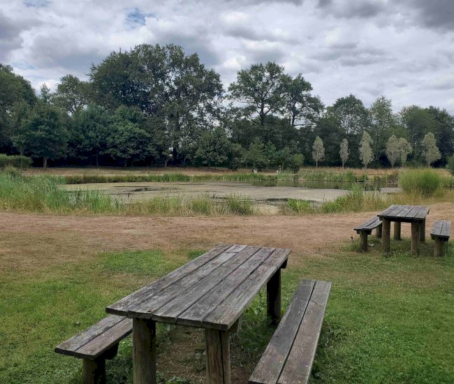 20220727_164826-compressed