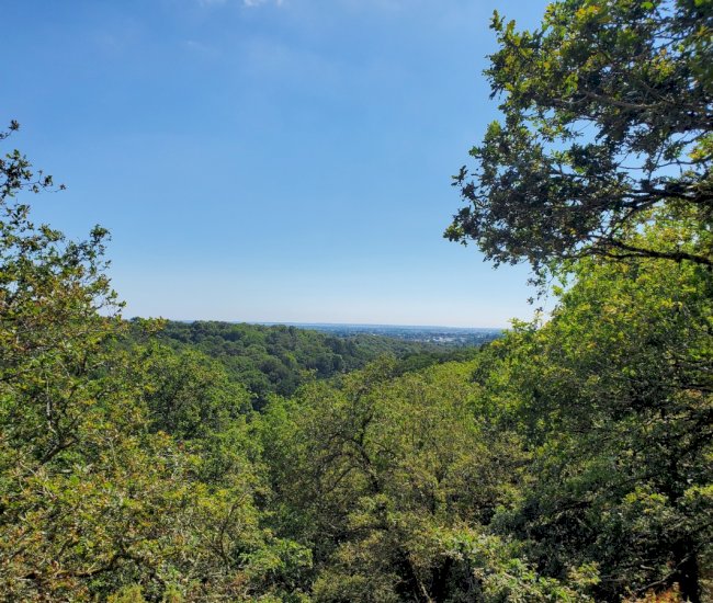 Sans titre (2)-compressed