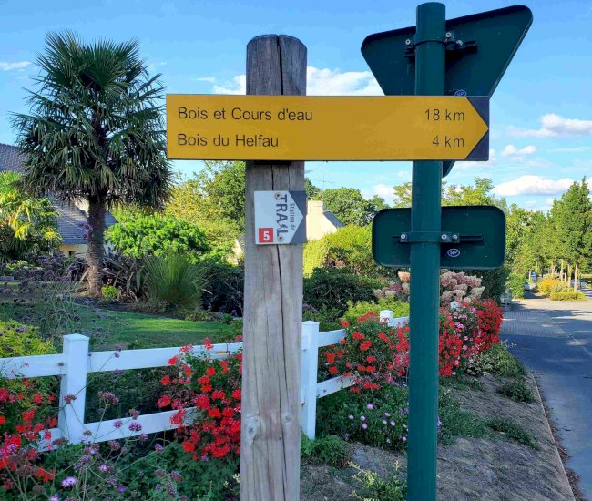 20220824_181511-compressed