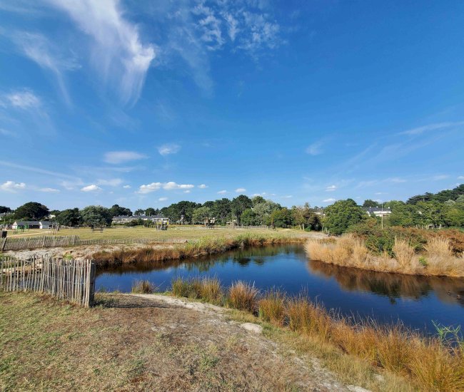 20220830_173047-compressed