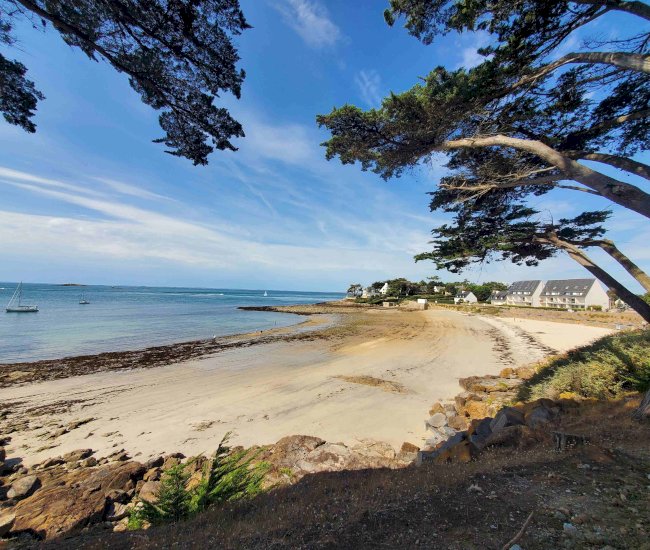 20220912_130109-compressed