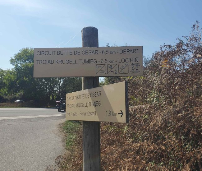 20220830_161723-compressed