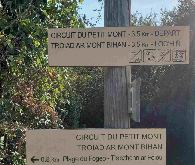 20220830_181426-compressed