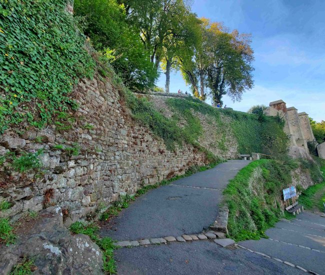 20220922_152249-compressed